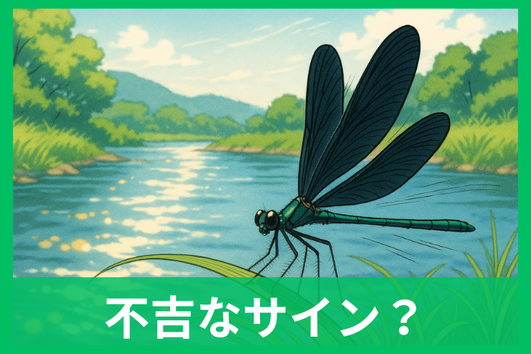 黒いトンボは不吉って本当？伝承・生態・スピリチュアルを徹底解説