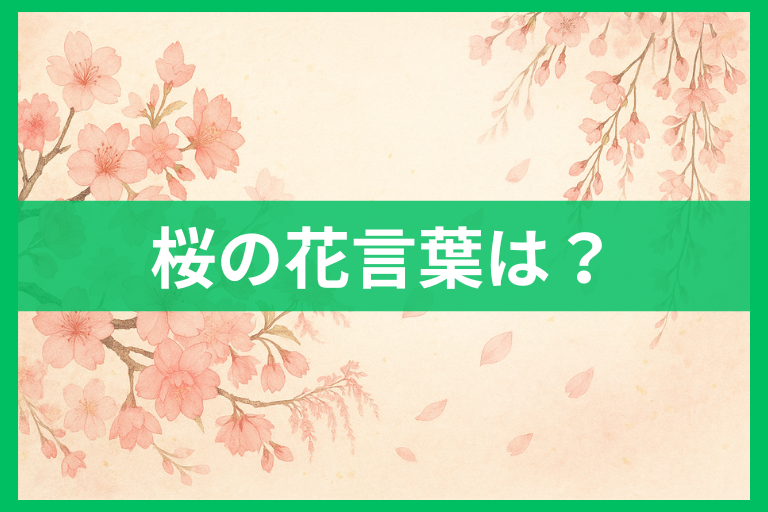桜の花言葉を徹底解説 種類別の意味・由来・贈るときのマナー