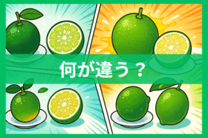 すだち・かぼす・シークヮーサー・ライム徹底比較 味・用途・旬・栄養が全部わかる