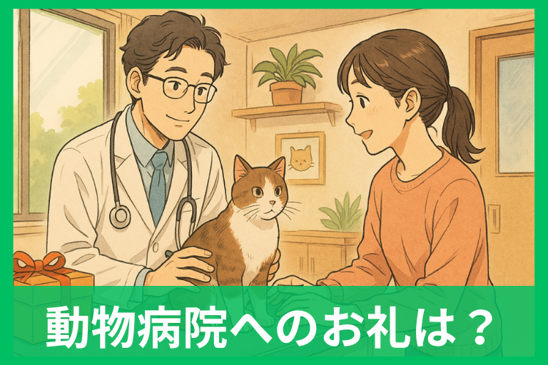 動物病院へのお礼は菓子折りでいい？相場・マナー・喜ばれる差し入れ完全ガイド