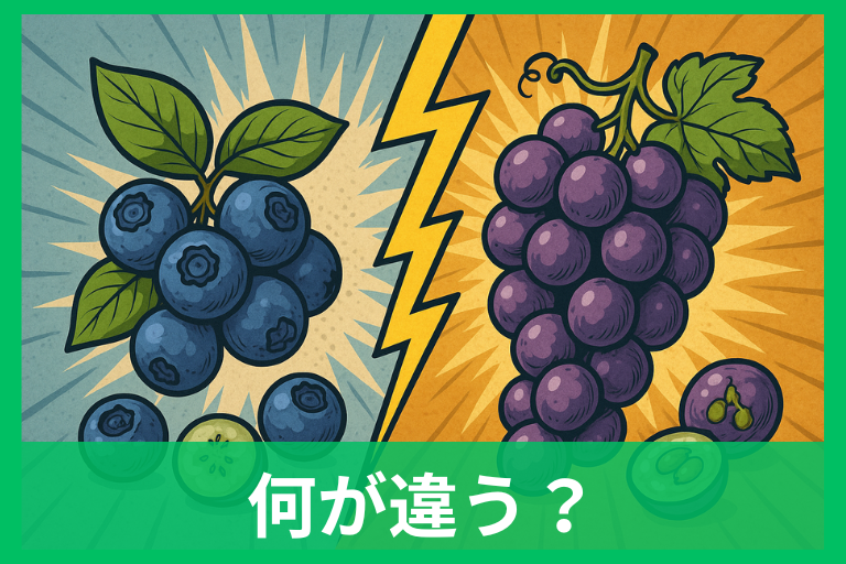 ブルーベリーとぶどうの違いを完全比較 栄養・糖質・旬・保存まで一気にわかる