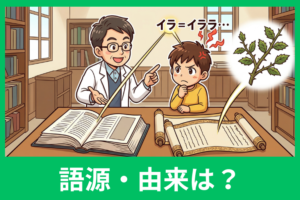 「イライラ」の語源はなぜトゲなのか？意味と由来をやさしく解説