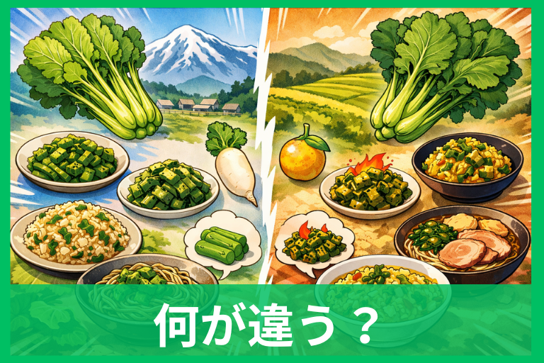 野沢菜と高菜の違いとは？見た目・味・漬物の特徴をやさしく解説