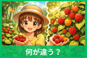 野いちごと木苺の違いをやさしく解説 ヘビイチゴとの違い・食べられる種類・見分け方まで