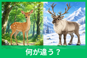 鹿とトナカイの違いはどこ？角・体・暮らし・サンタの疑問までやさしく解説