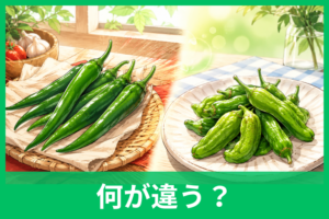 「青唐辛子」と「ししとう」の違いをやさしく解説！辛さ・見分け方・料理の使い分けまで丸わかり