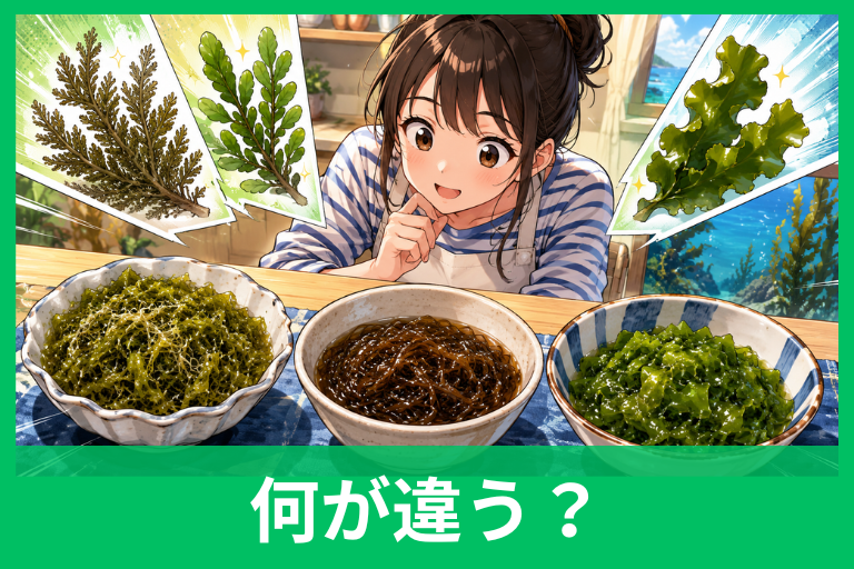 アカモク・もずく・めかぶの違いを徹底比較！栄養・食感・選び方までわかる海藻ガイド