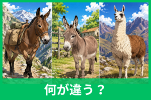 ラバ・ロバ・ラマの違いは？見た目・仲間・生まれ方を比較表でわかりやすく解説