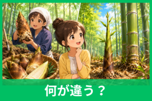 筍と竹の子の違いは？意味や由来、正しい使い分けをわかりやすく解説