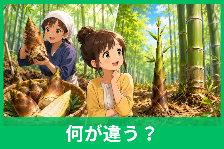 筍と竹の子の違いは？意味や由来、正しい使い分けをわかりやすく解説