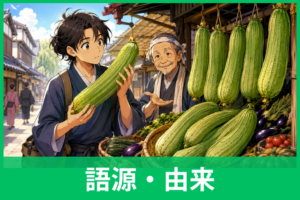 「へちまもない」の語源とは？なぜヘチマ？意味・由来を江戸時代までさかのぼって解説