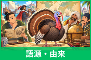 七面鳥の名前の由来は？なぜ「七面」なのか・英語でTurkeyと呼ぶ理由まで解説